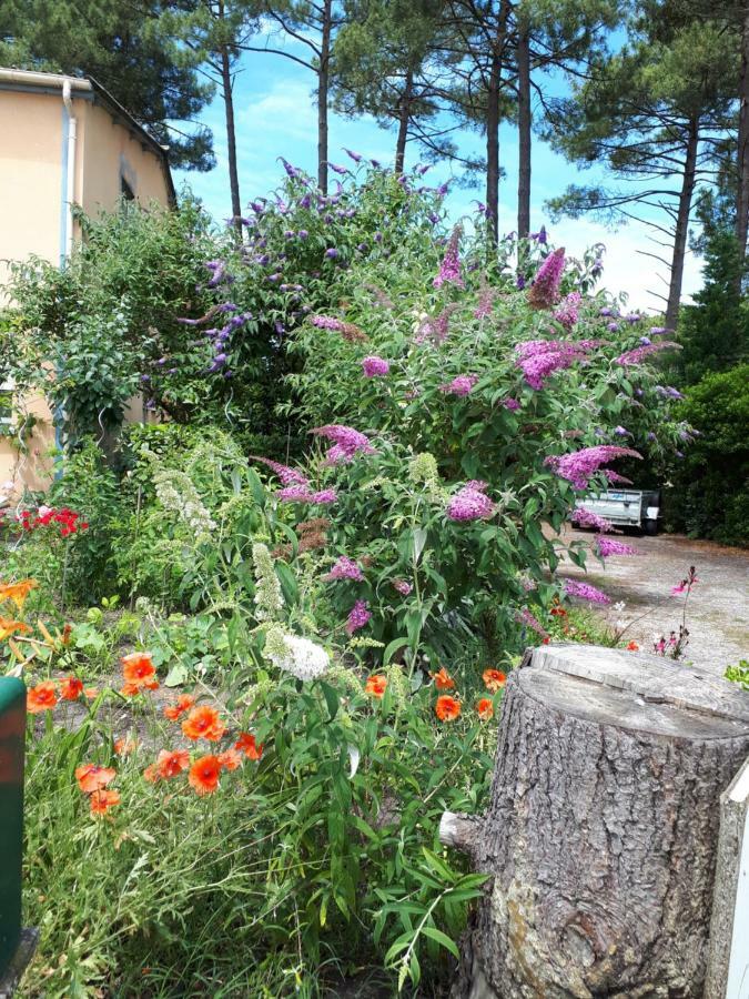 Le Relais De La Praya Panzió Lège-Cap-Ferret Kültér fotó